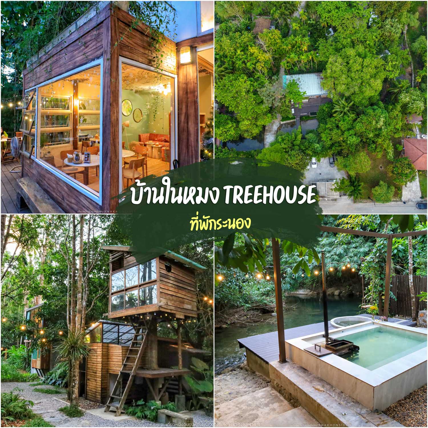 บ้านในหมง treehouse  ที่พักระนอง บ้านต้นไม้กลางป่าริมลำธาร  โฮมสเตย์ริมลำธาร ที่ซ่อนตัวท่ามกลางต้นไม้เขียวๆ ร่มรื่น และบรรยากาศสดชื่นมากๆ